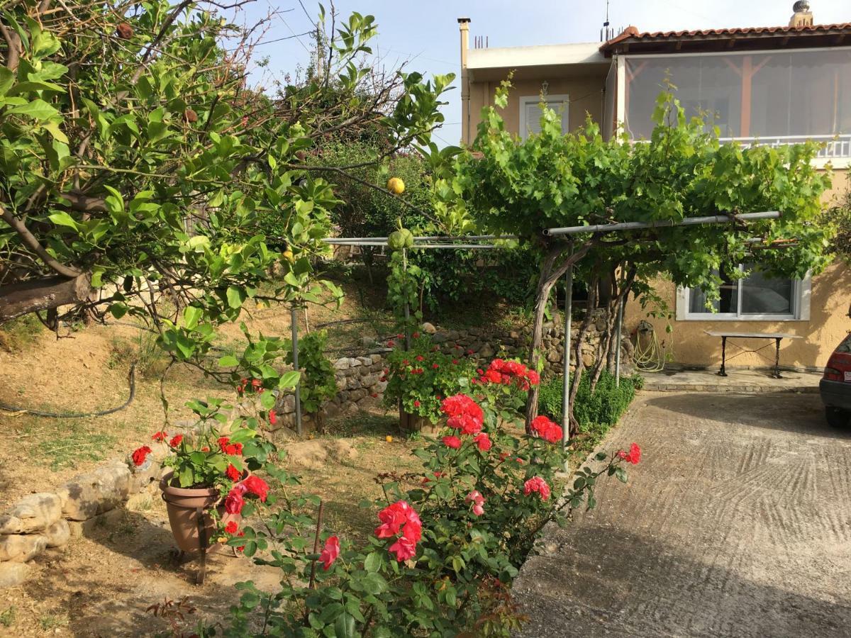 Physis Rental Estate Pigi  Bagian luar foto